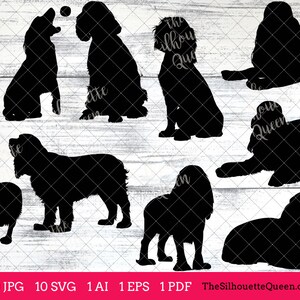 English Cocker Spaniel dog svg, dog svg, dog monogram svg, dog svg files cricut, dog svg cut files, dog svg image, dog svg design, bundle