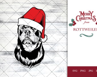 Rottweiler dog svg portrait clipart vector graphic art Xmas hat Christmas dog Cricut cut file cuttable design