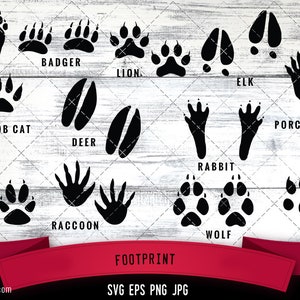 Animal Footprint Silhouette Vector | Footprint SVG | Clipart | Graphic | Cutting files for Cricut, Silhouette