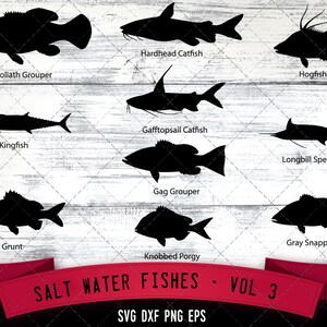 May include: A digital download of 10 black and white silhouette images of saltwater fish. The fish are arranged in two rows of five. The fish names are listed below each image. The text "SALT WATER FISHES - VOL 3" is at the bottom of the image.