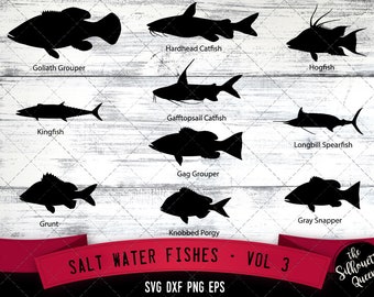 Salt Water Fishes Svg V3 - Goliath Grouper, Kingfish, Grunt, Hardhead Catfish, Gafftopsail Catfish, Gag Grouper, Knobbed Porgy, Hogfish,