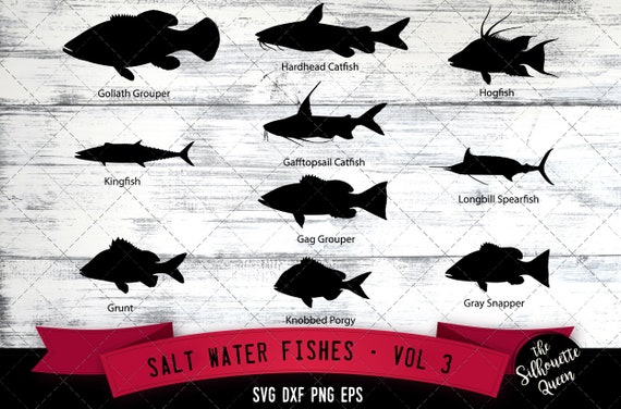 Salt Water Fishes Svg V3 Goliath Grouper Kingfish Grunt Etsy