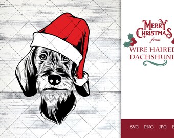 Wire Haired Dachshund dog svg portrait clipart vector graphic art Xmas hat Christmas dog Cricut cut file cuttable design