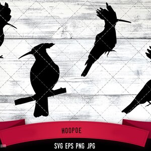 May include: Four black silhouette images of hoopoe birds with a crest of feathers on their heads. The birds are in different poses, some are perched on a branch, others are in flight. The images are set against a white woodgrain background. The text "HOOPOE" is at the bottom of the image, along with the text "SVG EPS PNG JPG".