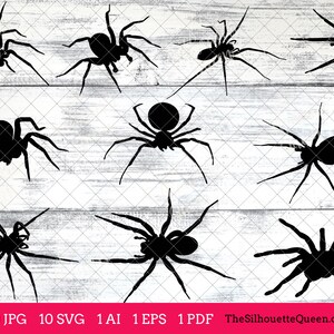 Spider svg, Spider monogram, Spider svg file, Spider cuttable, Spider svg bundle, cut files, silhouette, cricut files, vector eps, jpg