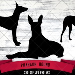 May include: Black silhouette of a Pharaoh Hound dog in three different poses. The dog is standing, sitting, and lying down. The image is on a white wood background with the text "Pharaoh Hound" and "SVG DXF JPG PNG EPS" below the image.