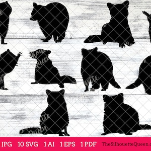 Raccoon svg, Raccoon monogram, Raccoon svg file,cuttable, Raccoon svg bundle, cut files, silhouette studio, cricut files, vector eps, jpg