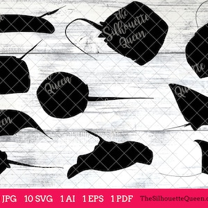 Fishing SVG , Sting Ray Fish SVG, Sting Ray Fish Cut File for Cricut Design,Silhouette Studio, Fisherman Clipart, Father&#39;s Day Svg, Png, Eps