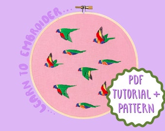 Rainbow Lorikeets  Embroidery Tutorial + Pattern by Lily Adelaide Upton
