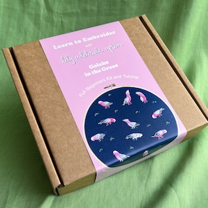 Learn to Embroider - Galahs - beginners kit and embroidery tutorial - Lily Adelaide Upton