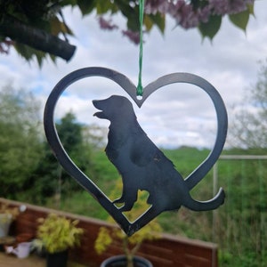 Regalo de corazón de perro labrador retriever - regalo conmemorativo para perro - corazón de perro oxidado -