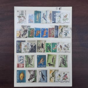 Può includere: Una collezione di francobolli disposti in cinque file orizzontali su un foglio bianco. I francobolli presentano varie illustrazioni tra cui animali, uccelli, pesci e piante, con testo come San Marino e vari valori numerici.