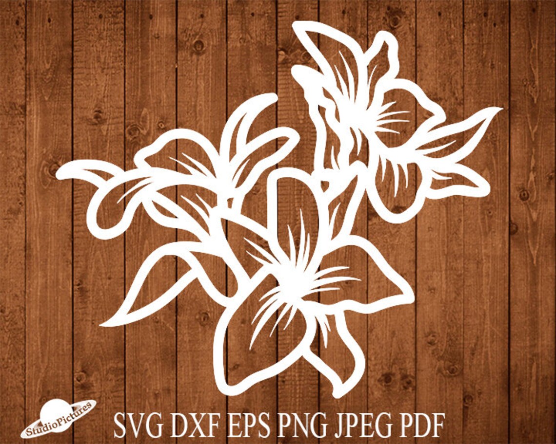 Flowers design svg lily dxf lily stencil lily svg lily Etsy