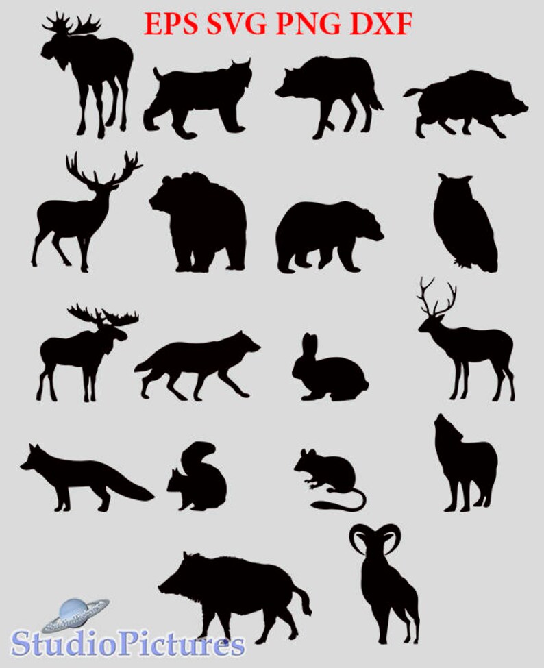 Set of animal silhouettes SVG animal stencils cut files Etsy