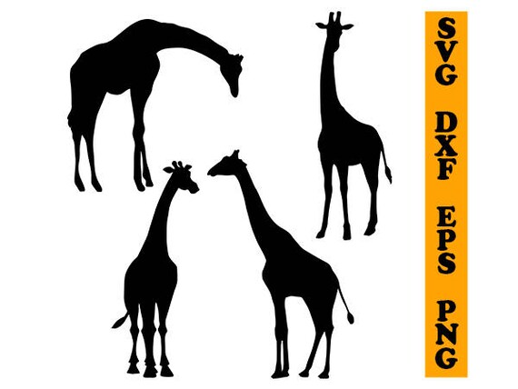 Download Giraffe Svg Giraffe Dxf Giraffe Clipart Svg For Cameo Etsy