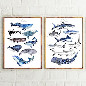Set of 2 prints- Watercolor Whale Print + Shark Print Whale Poster Nursery Kids Whale Wall Decor Whale Art Beach Nautical Decor Shark Poster