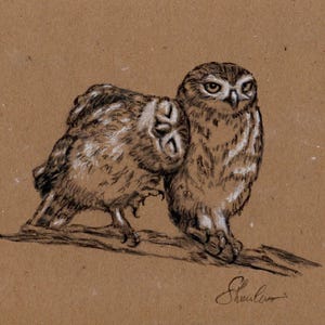Funny Owls ORIGINAL, NOT A PRINT Ink Drawing Painting Cute Art Decor Gifts Funny Owl Cottage Core Decor Vintage Style Art Original Art