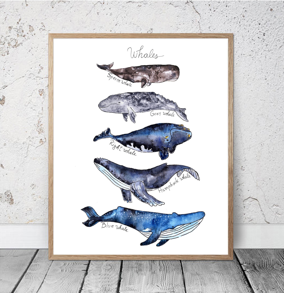 Watercolor Whales Print Kids Room Decor Nautical Ocean Print Whales