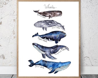 Aquarela baleias impressão crianças decoração do quarto náutico oceano impressão baleias cartaz baleias decoração da parede baleia arte baleia azul baleia jubarte baleia esperma