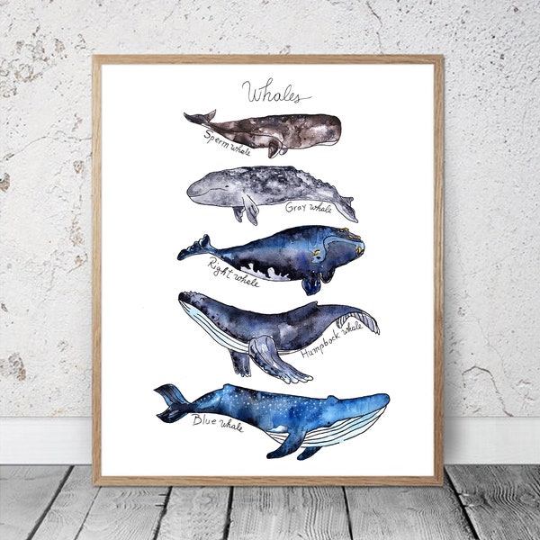 Watercolor Whales Print Kids Room Decor Nautical Ocean Print Whales Poster Whales Wall Decor Whale Art Blue Whale Humpback Whale Sperm Whale