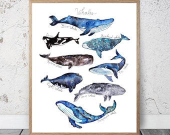 Watercolor Whale Print Whales Nautical Decor Whale Art Kids Room Nursery Boys Ocean Print  Whale Poster Whale Wall Decor Whales Chart