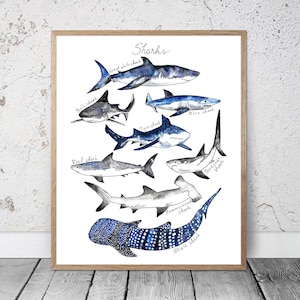 Akwarela Rekin Wydruk Morski Wystrój Ocean Rekiny Druk Wystrój Pokoju Dziecięcego Pokój Chłopięcy Plakat Rekin Rekin Wystrój Ścienny Sztuka Rekina Pobierz
