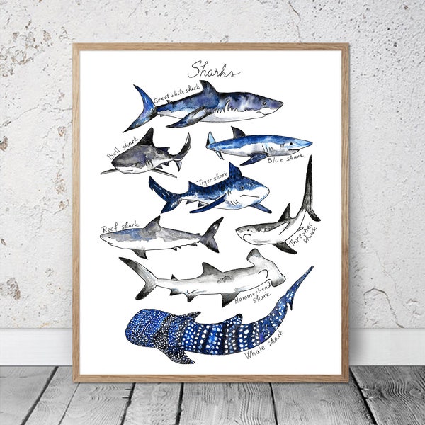 Watercolor Shark Print Nautical Decor Ocean Sharks Print Kids Room Decor Nursery Boys Room Shark Poster Shark Wall Decor Shark Art Download