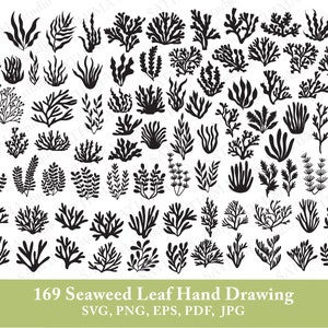 May include: A set of 169 black and white hand-drawn seaweed leaf illustrations. The illustrations are in various shapes and sizes, and they are perfect for use in digital or physical crafts.