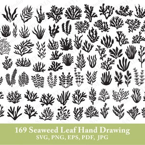 Seaweed svg | Seaweed leaf svg | Seaweed clipart | Seaweed silhouette | Seaweed vector | Seaweed drawing | Seaweed digital file