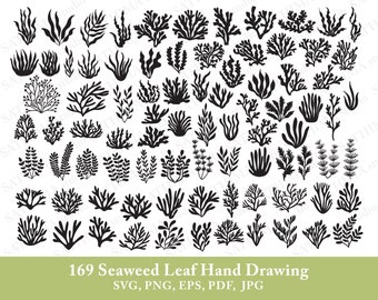 Seaweed svg | Seaweed leaf svg | Seaweed clipart | Seaweed silhouette | Seaweed vector | Seaweed drawing | Seaweed digital file