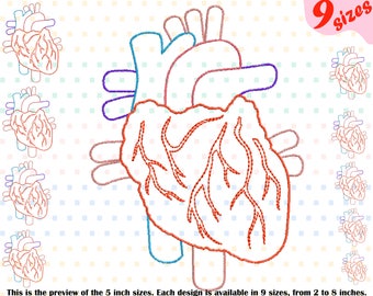 Heart Outline Embroidery Design Machine Instant Download digital file science school hospital biology Medic Organs Anatomy 202b