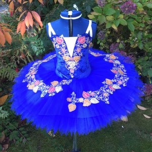 May include: A blue tulle ballet tutu with gold and pink floral embroidery. The bodice is velvet and has a white lining.