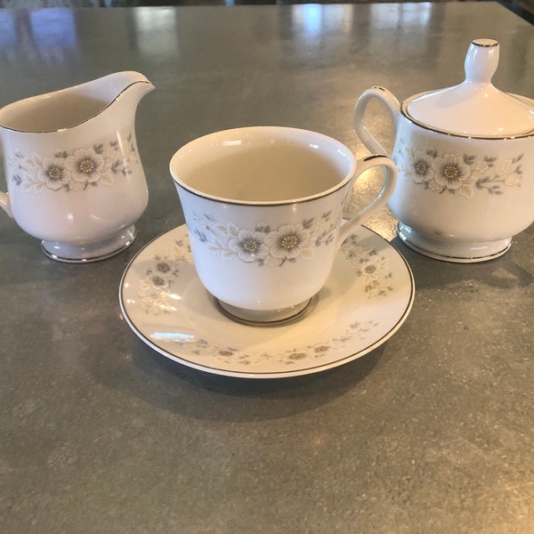 Elegant Carlton "Andover" Pattern Porcelain 20 Pieces - All Perfect!