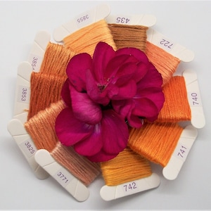 Embroidery floss set of Peruvian cotton threads 10 cards 4m4.37yd each card. 10 shades