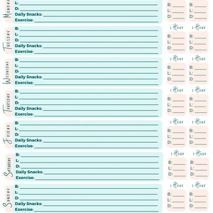 May include: A printable gestational diabetic tracker with a light blue background and teal lines. The tracker includes sections for blood sugar readings, daily snacks, and exercise for each day of the week. The text "Week Of" is at the top of the page.