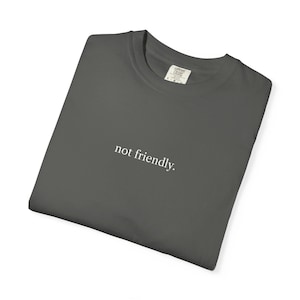 May include: Dark gray t-shirt with the phrase "not friendly" printed in white. The shirt is folded and has a crew neck. The tag on the shirt reads "Comfort Colors".