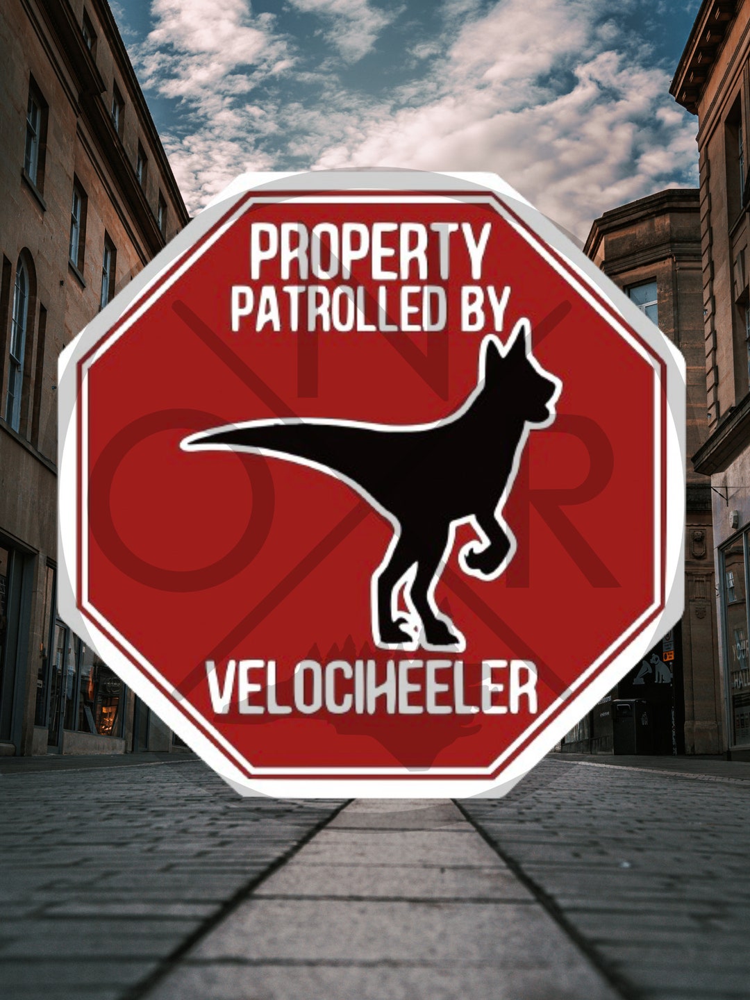 Hundeschild "Caution Area Patrolled By Australian Cattle Dog" – 27,9x27,9 Cm, Wetterfest, Für Garten & Haus