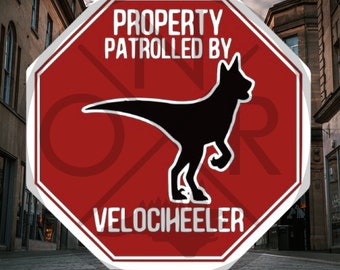 Property Patrolled By Velociheeler Australian Cattle Dog Red Blue Heeler ACD Front Door Security Die-Cut Sticker