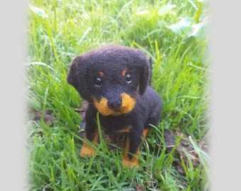 Modèle de feutrage à l’aiguille Rottweiler