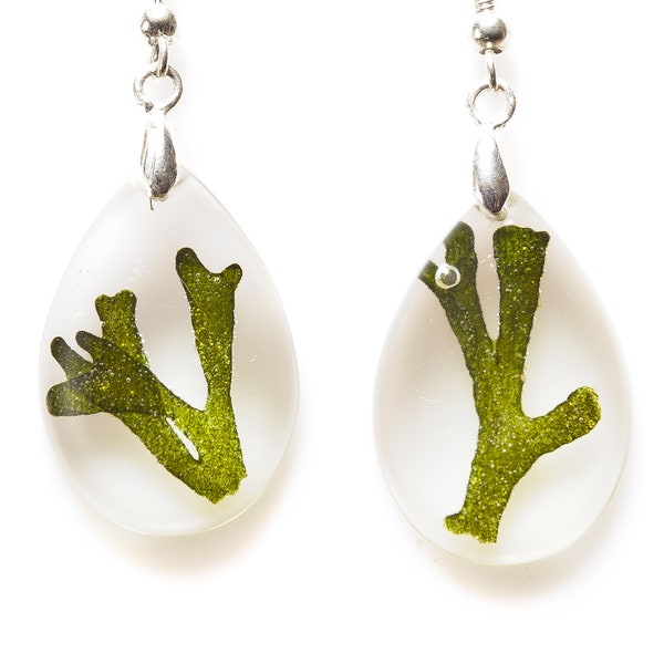 EARRINGS CODIUM,S.C.,silver,algae,natural algae,jewelry,seaweed,algae,hand made,handmade,crafts,plocamium,ulva,codium,