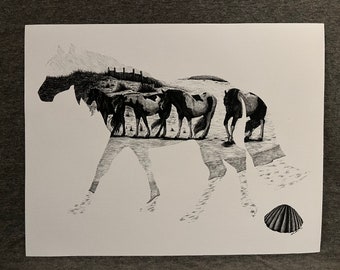 May include: A black and white pen and ink drawing of a horse with a group of horses in the background. The horses are on a beach with a seashell in the foreground.