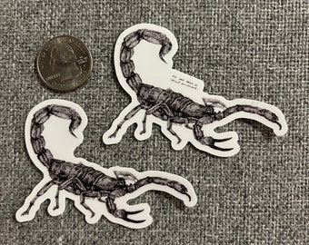 May include: Two black and white scorpion stickers on a gray fabric background. The stickers are printed with the text "No one likes a third scorpion".