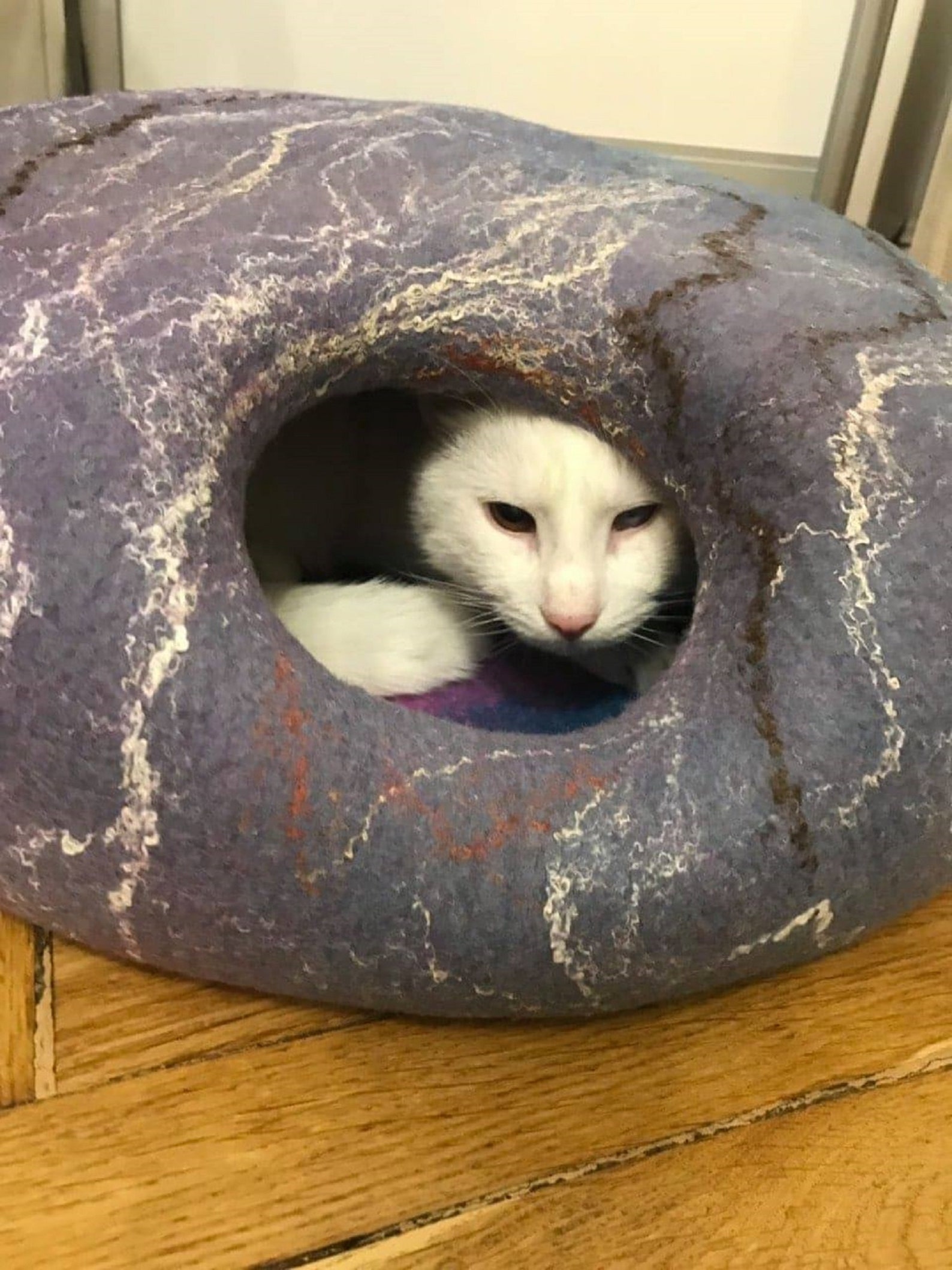 Cat Cave Pet Bed Cat Nap Cocoon Pet Bed House Felted Cat Bed Etsy