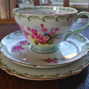 Shelley Pastel Green pattern 13523, chintz, china