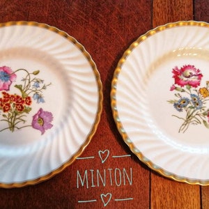 Two Stunning Large Plates By Minton