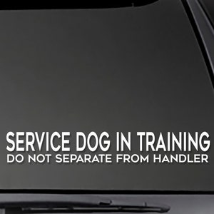 May include: White vinyl sticker with the text "SERVICE DOG IN TRAINING DO NOT SEPARATE FROM HANDLER" on a black car window.