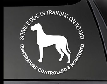 SERVICE DOG in Training