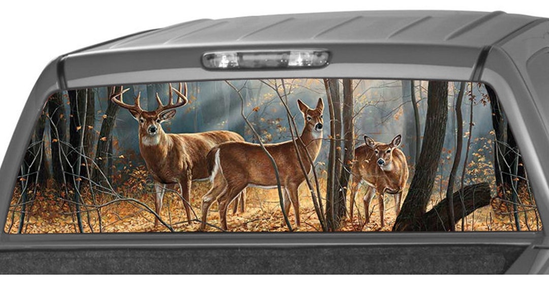 Whitetail Deer Family in the Forest Rear Window Graphic Decal Tint Perf ...