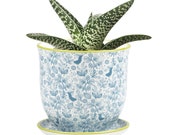 Cottage Style Wee Pots - Decorate Your Own Mini Garden With the Tiny Stylish Planter.