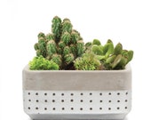 Decorate your own Mini Garden with the stylish Meraki Dish Silver Cacti Succulents Pot